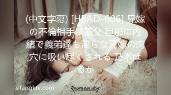 (中文字幕) [HBAD-606] 兄嫁の不倫相手は義父 旦那に内緒で義弟達も淫らな兄嫁の肉穴に吸い尽くされる 乃木はるか