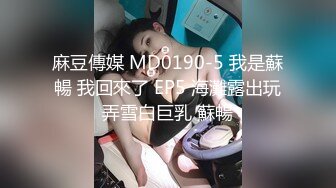 麻豆傳媒 MD0190-5 我是蘇暢 我回來了 EP5 海灘露出玩弄雪白巨乳 蘇暢