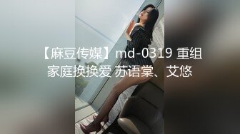 【麻豆传媒】md-0319 重组家庭换换爱 苏语棠、艾悠