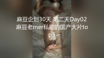 麻豆企划30天 第二天Day02麻豆老mer私藏的国产大片top5