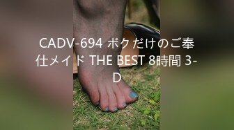 CADV-694 ボクだけのご奉仕メイド THE BEST 8時間 3-D