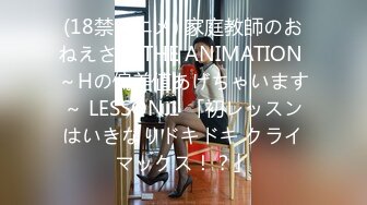 (18禁アニメ) 家庭教師のおねえさん THE ANIMATION ～Hの偏差値あげちゃいます～ LESSON.1 「初レッスンはいきなりドキドキ クライマックス！？」