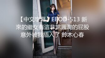 【中文字幕】EBOD-513 新來的繼女有這非常圓潤的屁股意外被我插入了 鈴木心春