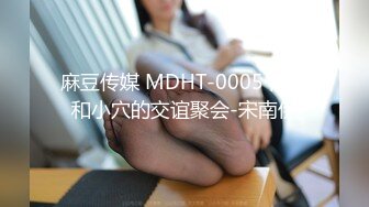 麻豆传媒 MDHT-0005 肉棒和小穴的交谊聚会-宋南伊